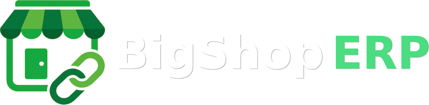 BigShop ERP logo